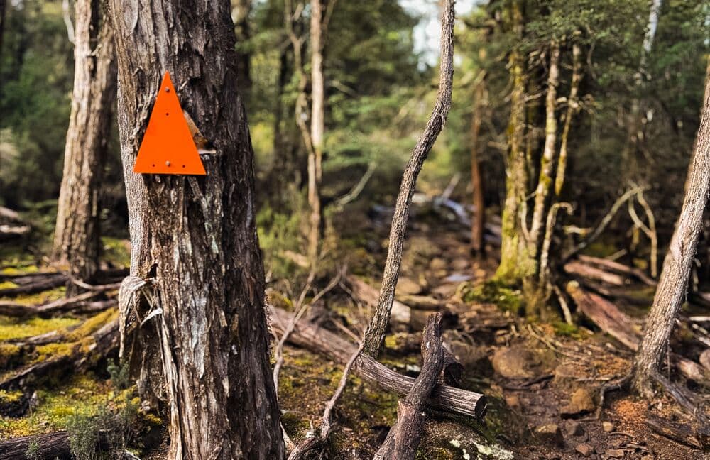 A Waymark trail marker in the bush